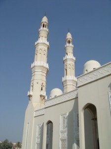 DSC01431